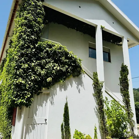 Nature & Guest Rooms, Aldeamento Turistico Do Camarido Hostel *