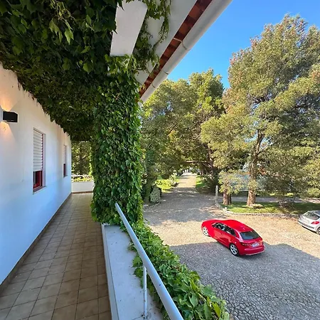 Nature & Guest Rooms, Aldeamento Turistico Do Camarido Auberge de jeunesse